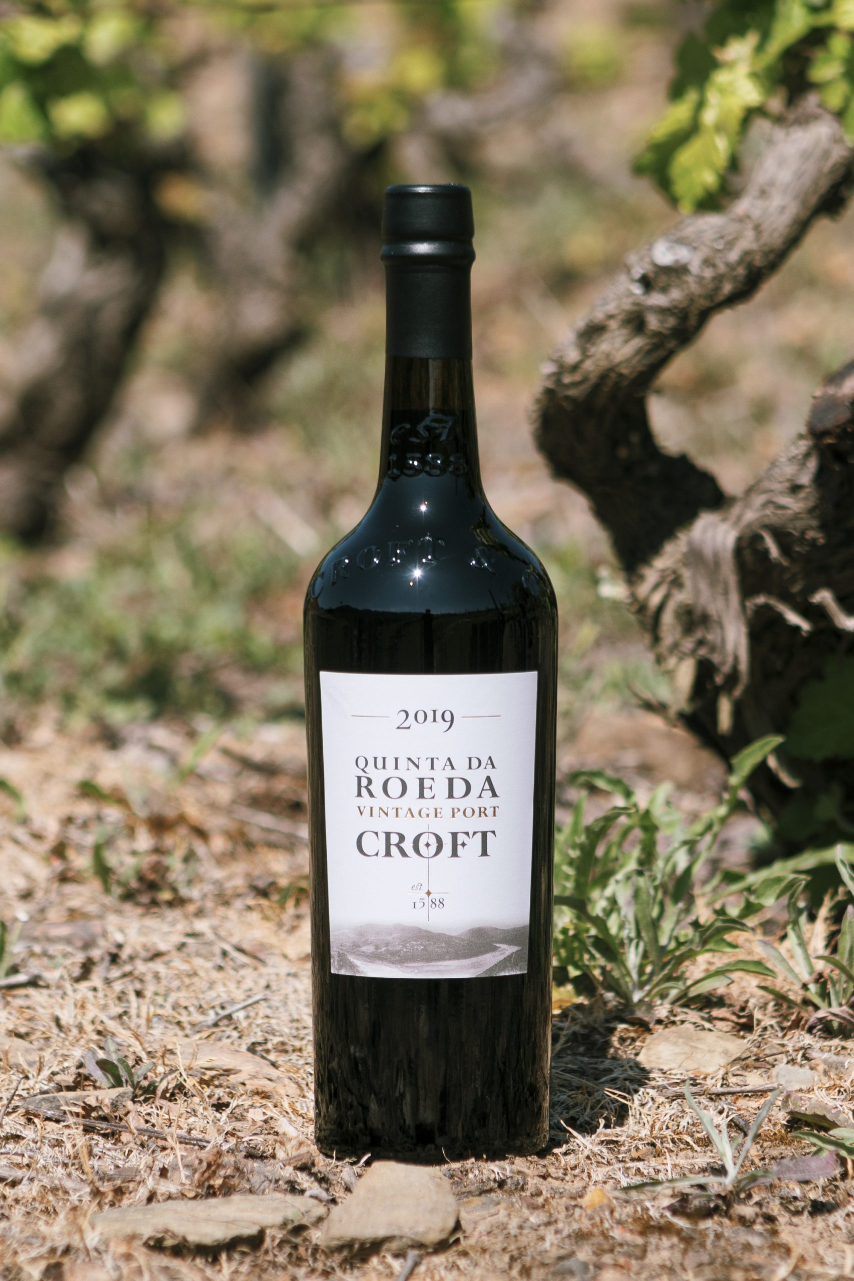 News | Croft Port announces a Quinta da Roêda 2019 Vintage Port