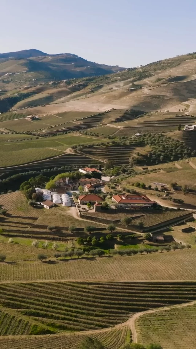 Descubra a jóia do Douro na Quinta da Roêda.

Participe numa visita guiada pelas nossas vinhas em socalcos, conheça os segredos da produção do Vinho do Porto e desfrute de paisagens deslumbrantes sobre o rio Douro. 

No final, delicie-se com uma prova dos melhores vinhos do Porto da Croft.

Marque já a sua visita no link da bio.

//

Discover the jewel of the Douro at Quinta da Roêda.

Take part in a guided tour of our terraced vineyards, learn the secrets of Port wine production and enjoy breathtaking views over the Douro. 

At the end, treat yourself to a tasting of Croft's finest Port wines.

Book your visit now using the link in the bio.

//

#CroftPort #Douro #QuintadaRoeda #WineTasting